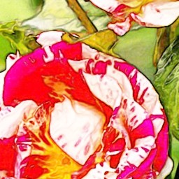 Colored Pencil FAA 02